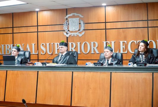 TSE reserva fallo sobre nulidad personería 33 entidades políticas
