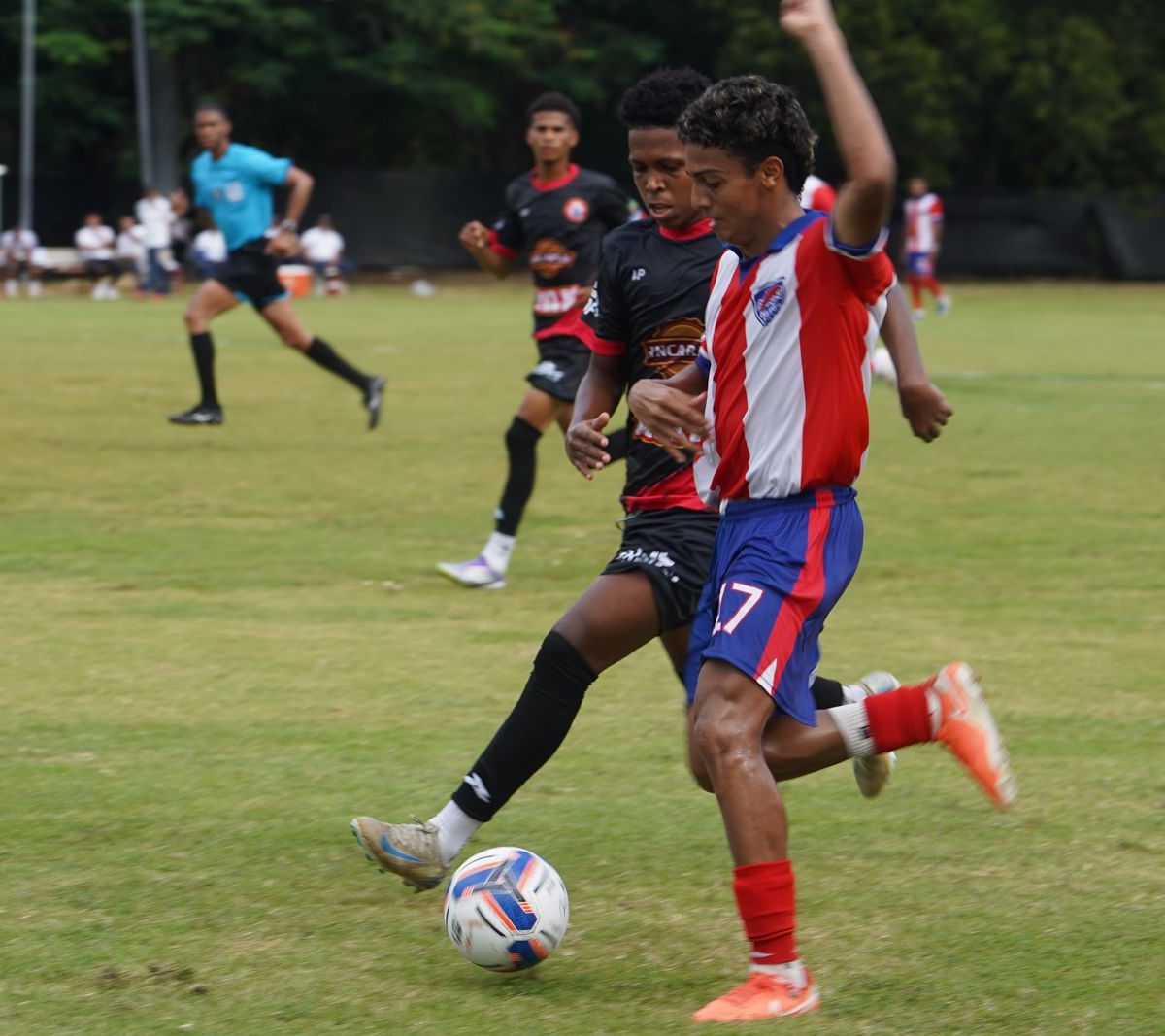 Delfines supera 1-0 a Vega Real y OyM empata ante Cibao en la LDF